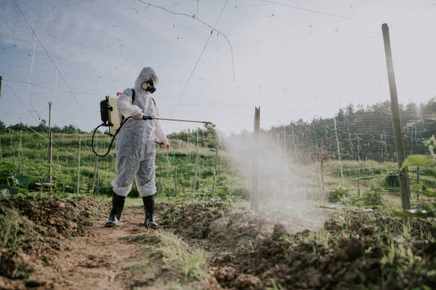 Best Best Pest Control Companies  in Bon Air, VA