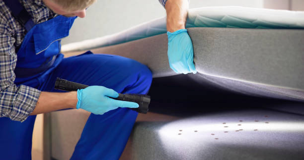 Best Bed Bug Extermination  in Bon Air, VA