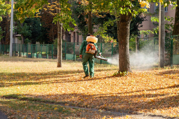 Bird Control in Bon Air, VA