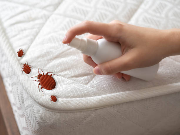 Best Mosquito Control Services  in Bon Air, VA