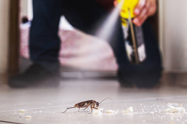 Best Insect Control  in Bon Air, VA