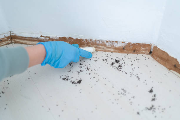 Best Residential Pest Control  in Bon Air, VA